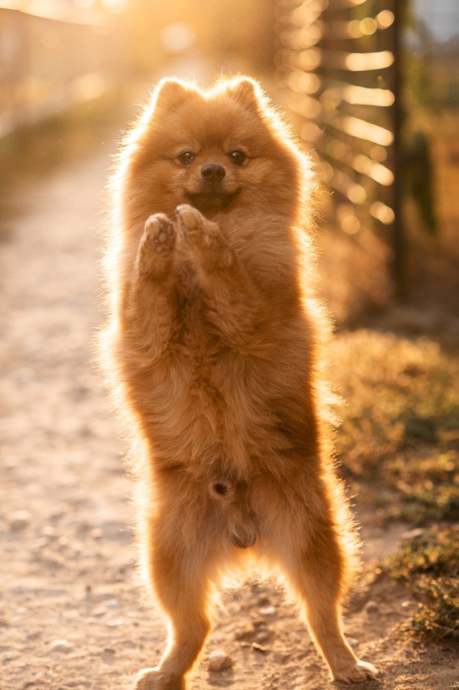 Photograph by Ирина Королева