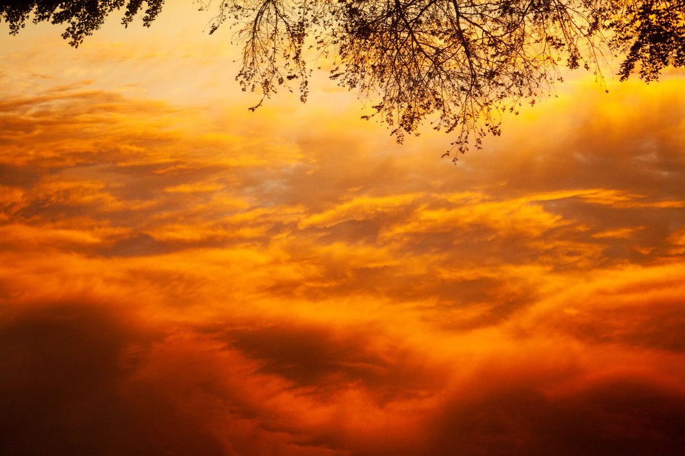 Photograph by Анастасия Полищук