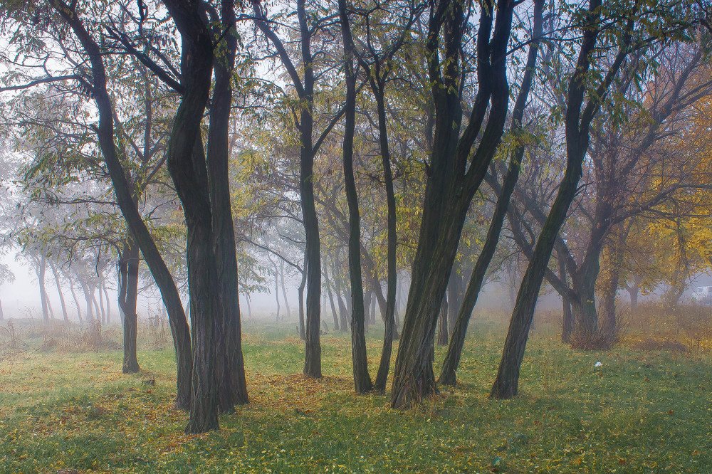 Photograph by Анна Вязникова