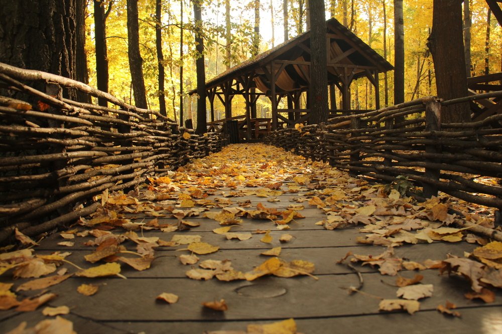 Photograph by Игорь Улитин