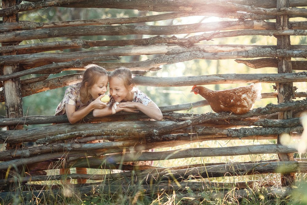 Лето в деревне