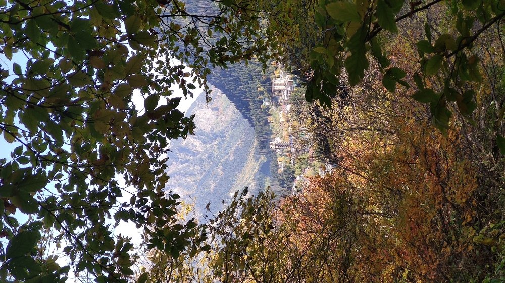 Photograph by Олег Карданов