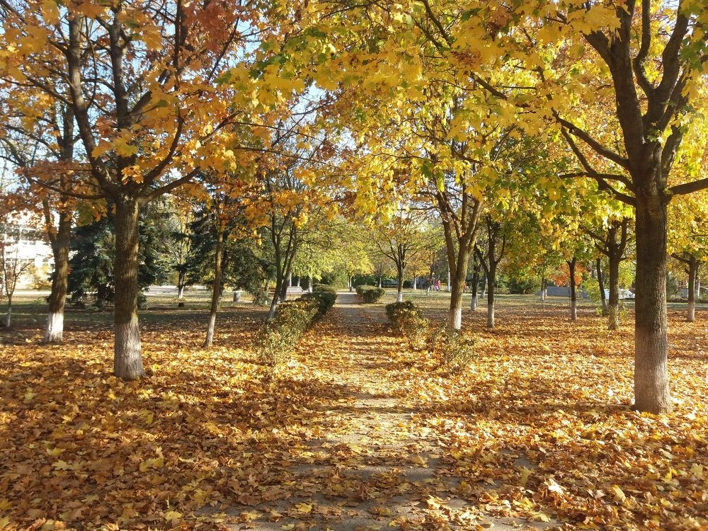 Photograph by Natalia Vishnyakova