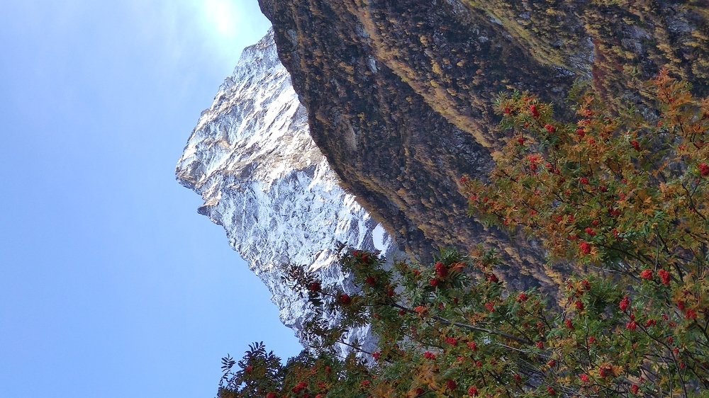 Photograph by Олег Карданов