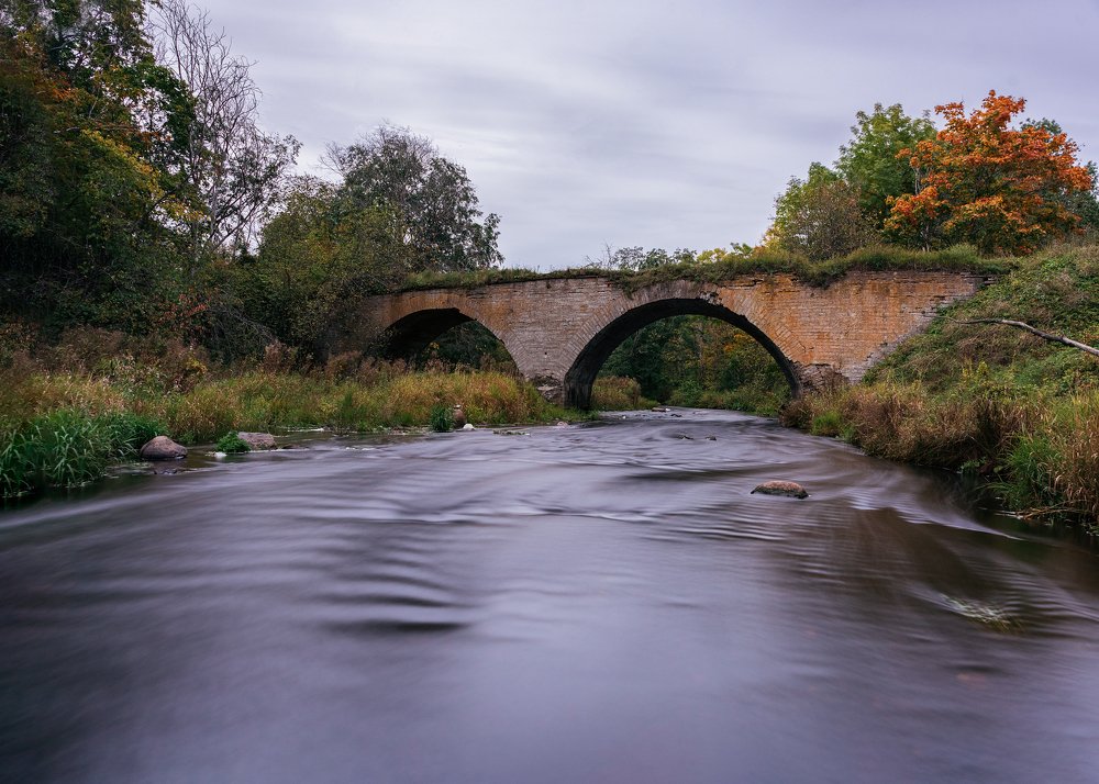 Photograph by Игорь Мозель
