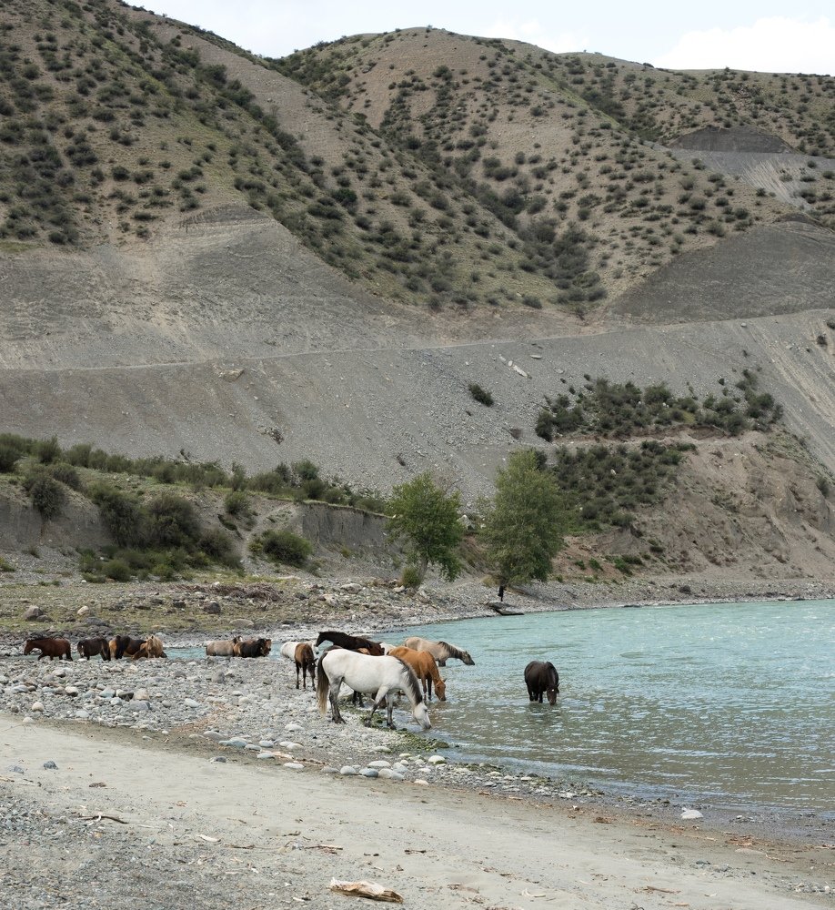 Photograph by Антон Иванов