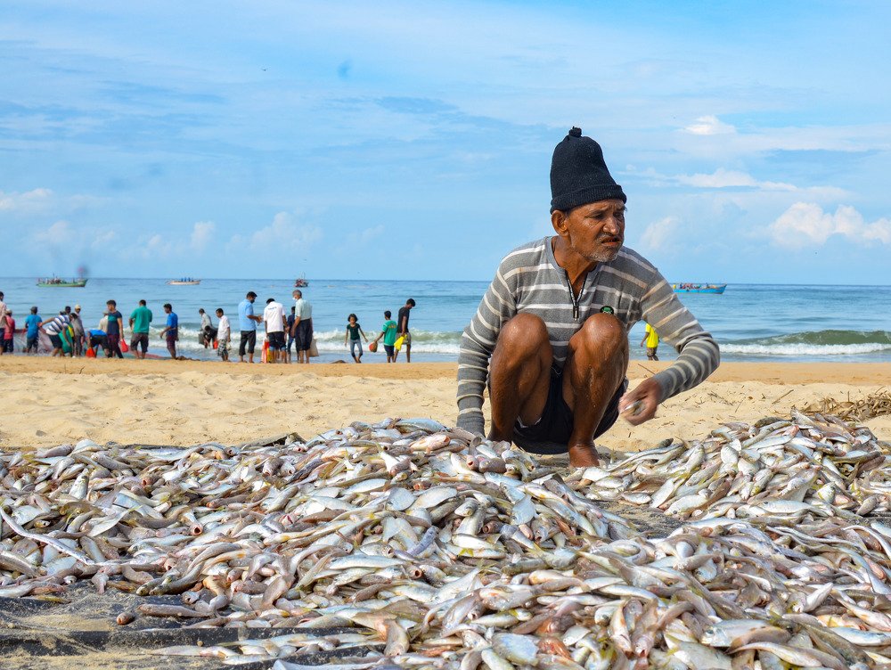 Photograph by Катя