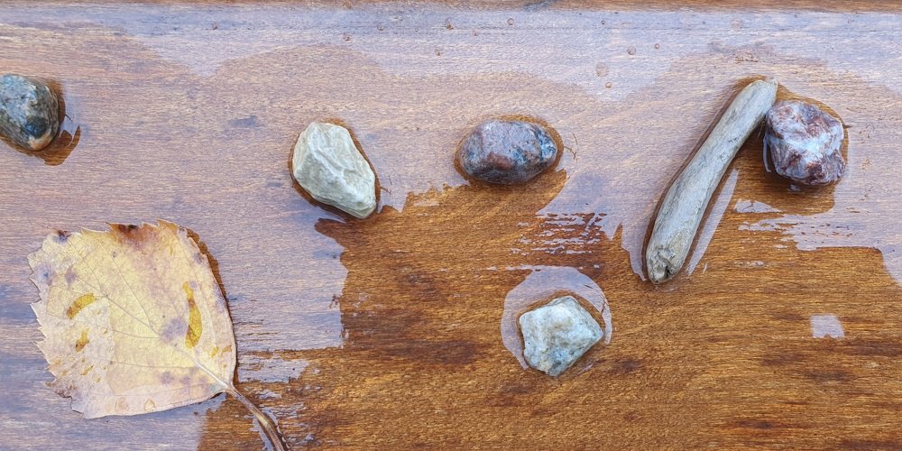 Photograph by Элеонора Ермакова