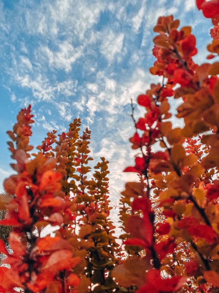 Photograph by Евгения Володина