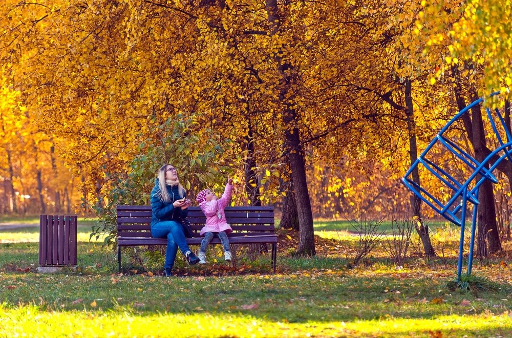 Увидела белочку