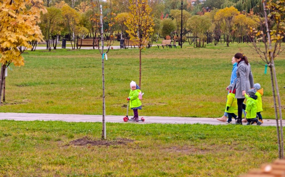 Цыплят по осени считают