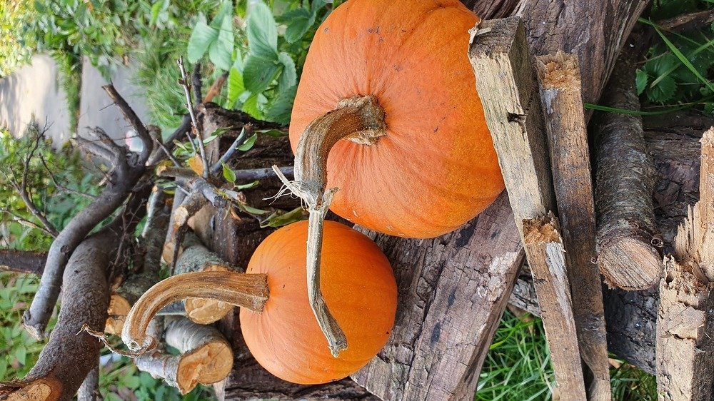 Photograph by Элеонора Ермакова