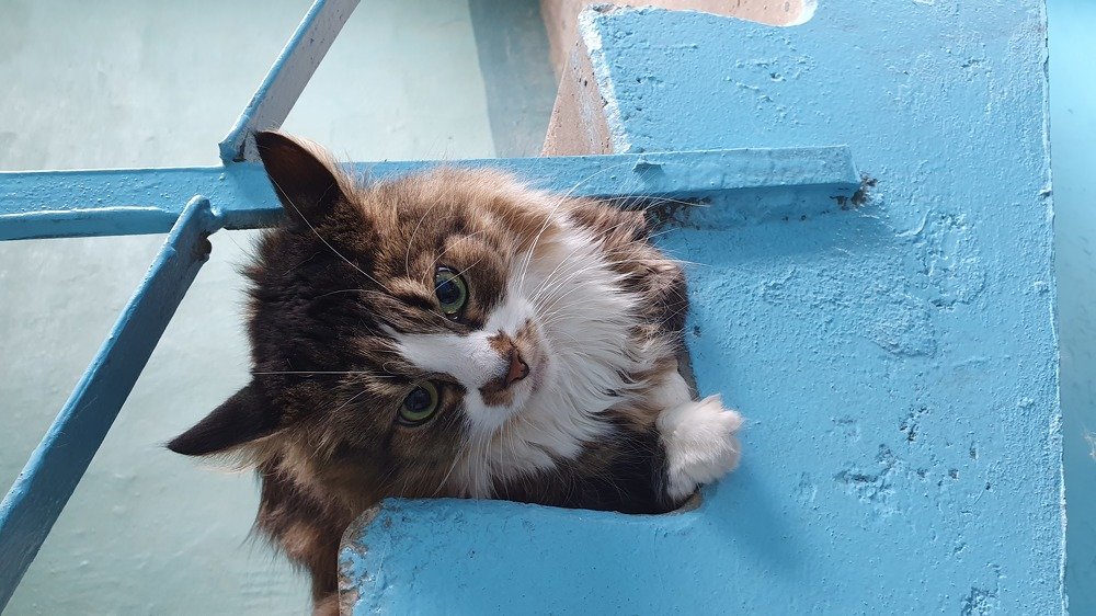 Photograph by Элеонора Ермакова