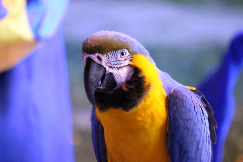 Photograph by Sandor Zoltan Gal