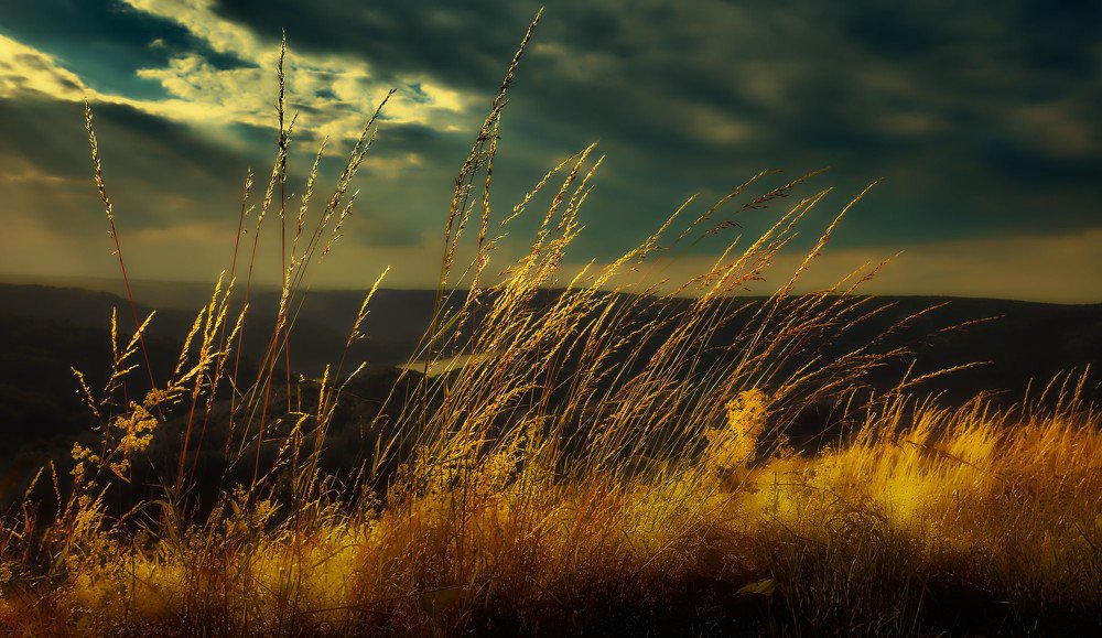 Фотография автора Sergej Axt