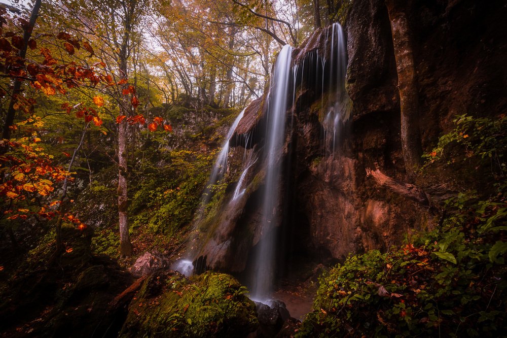 Photograph by Zoran Stegnjaic