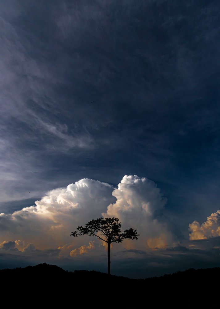 Photograph by Abhilash Thamattoor