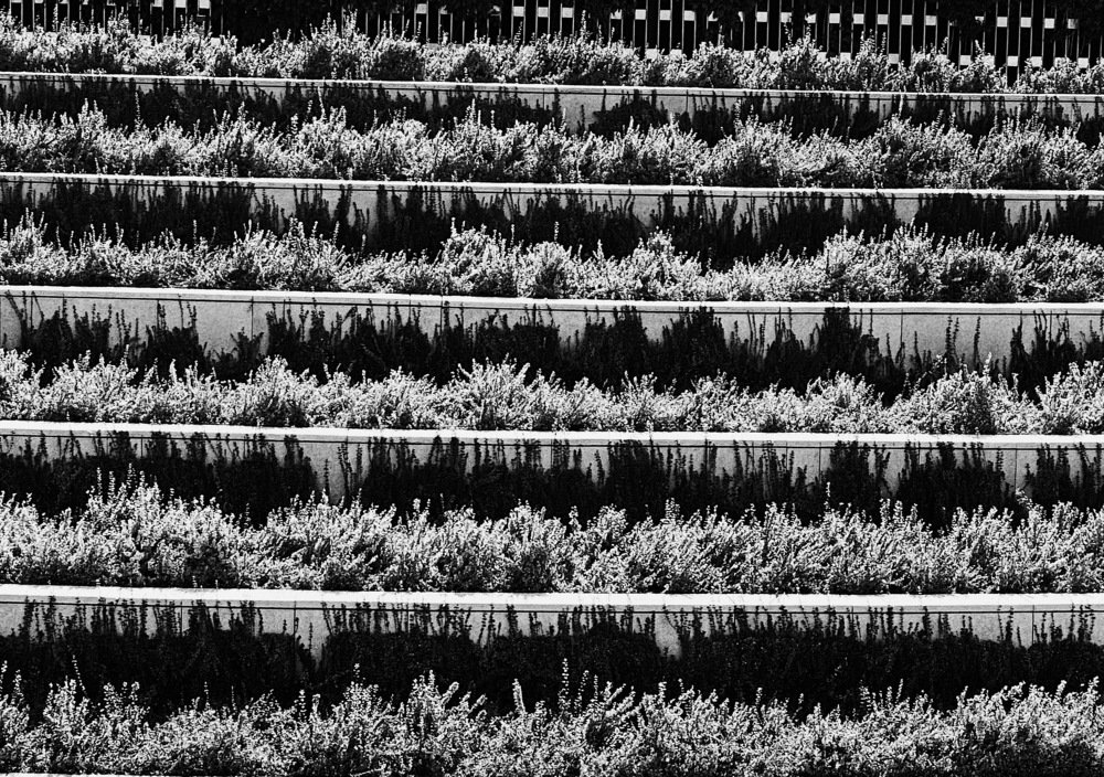 Photograph by Ольга Петухова