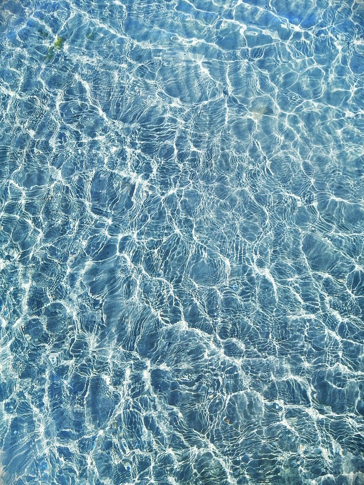 Фотография автора Анастасия Пищулова