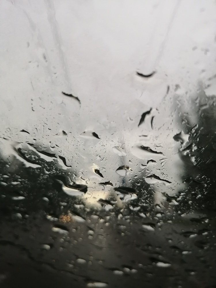 Фотография автора Анастасия Пищулова