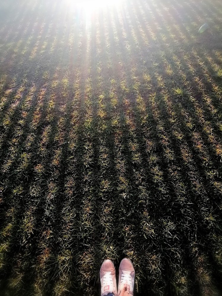 Фотография автора Анастасия Пищулова