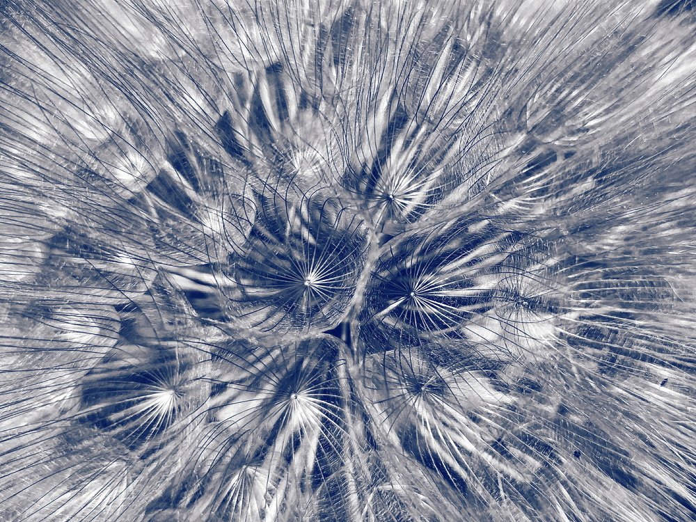 Photograph by Aitor Maria