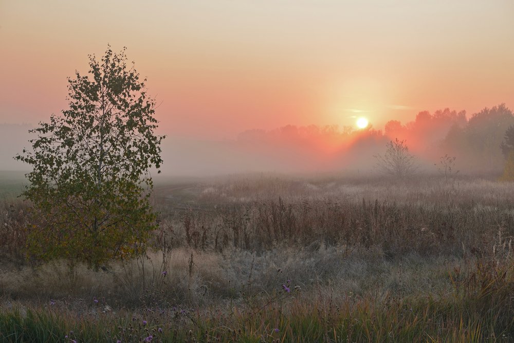 Осенний туман