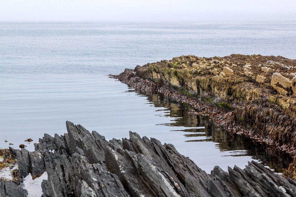 Кардиограмма