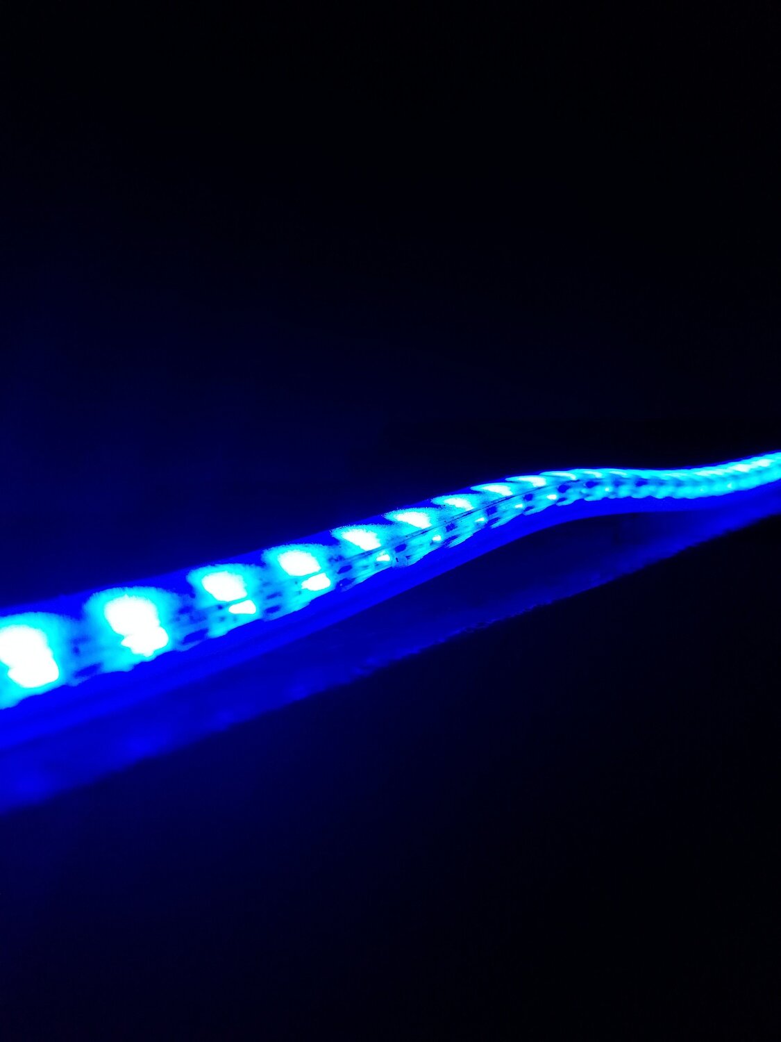 Photo #5055038