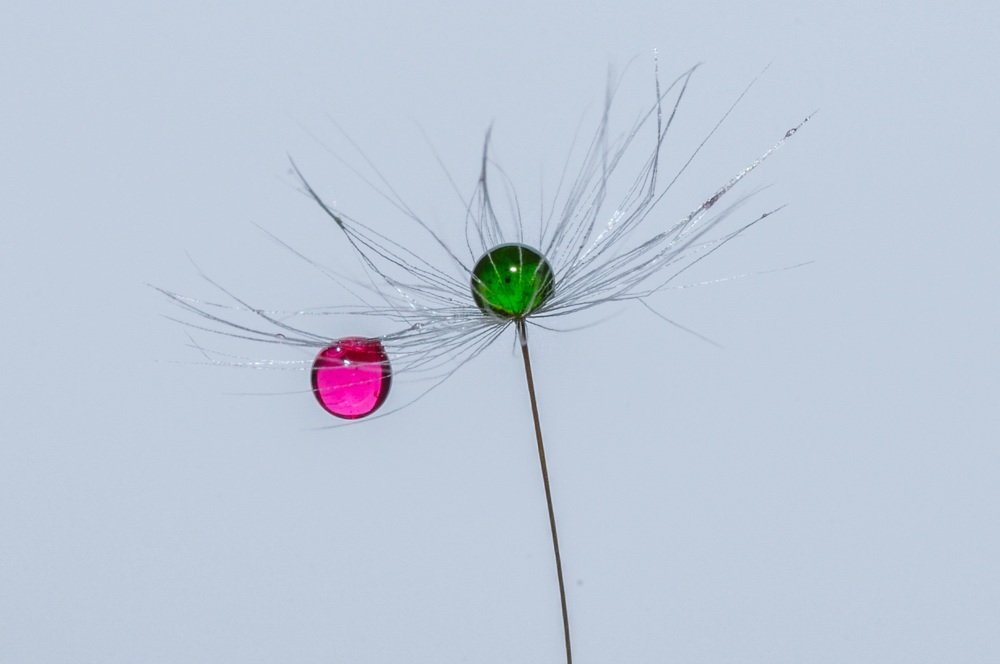 Photograph by Дмитрий Балатский