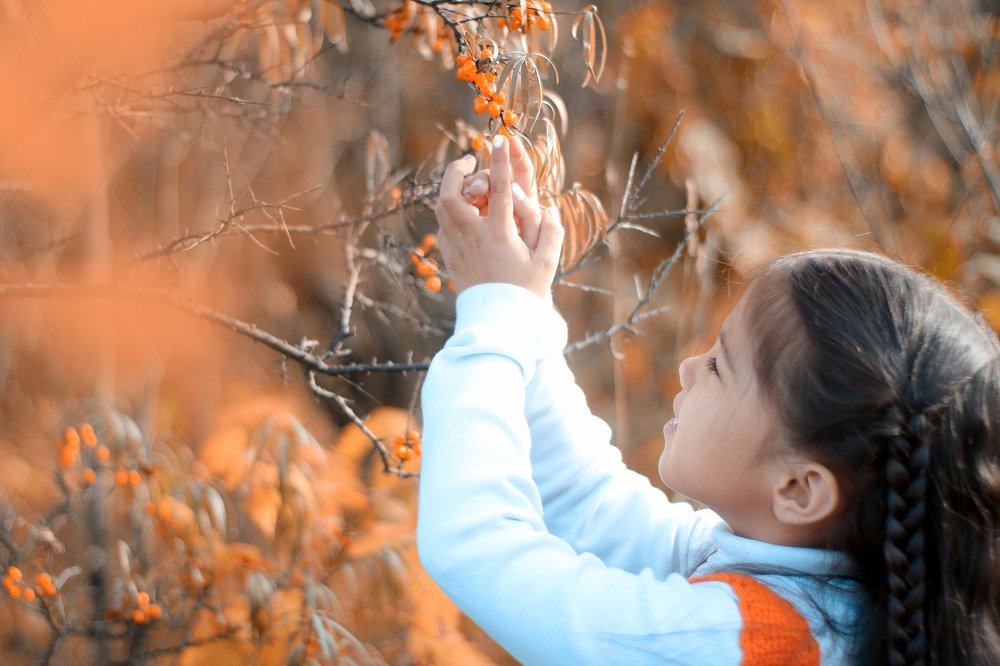 Photograph by Эльза Давлеева