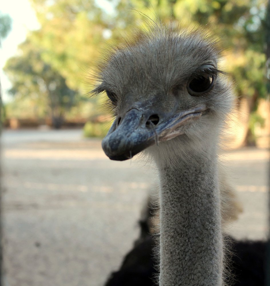 Photograph by Наталья Адалинская