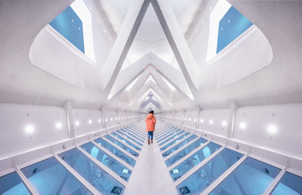 Photograph by Pedro Luis Ajuriaguerra Saiz