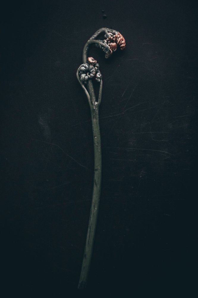 Photograph by Юрий Клёнов