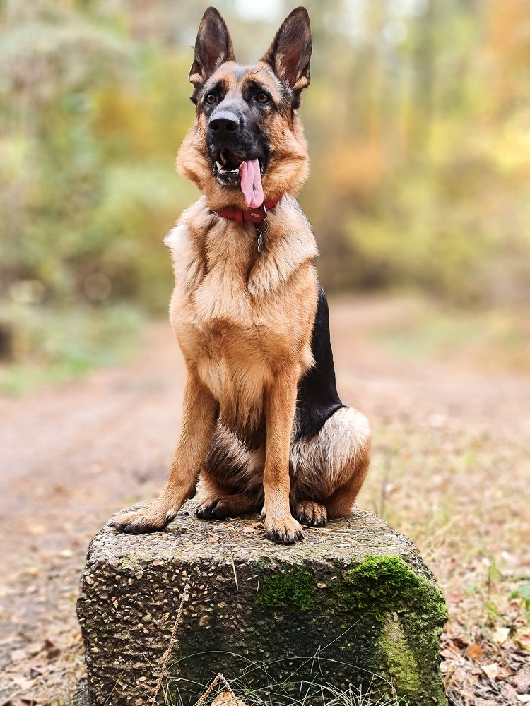 Photograph by Дмитрий Бородин