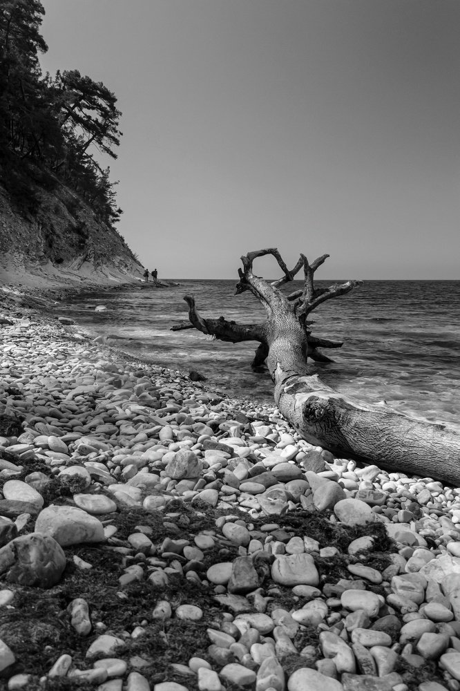 Photograph by Юрий Клёнов