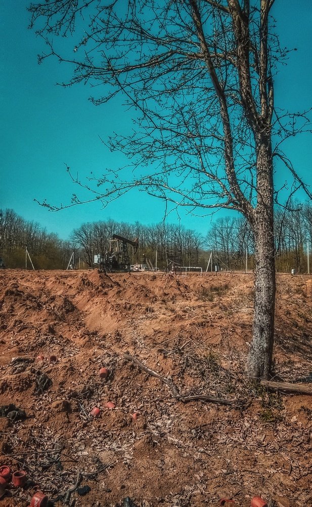 Photo #5055141