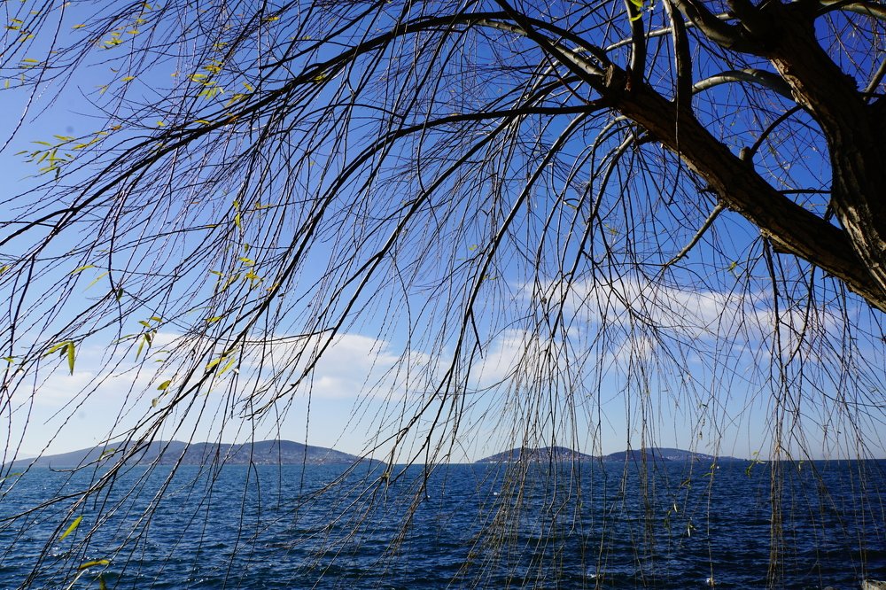 Photograph by Esma Güvenç Gündüz