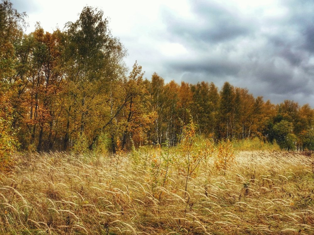 Photograph by Наталья Егорова