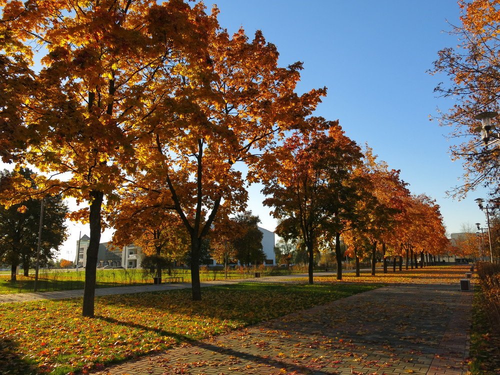 Photograph by ЭЛЬМИРА  ИСМАИЛОВА