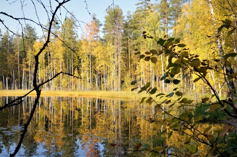 Photograph by Марина Безенкина