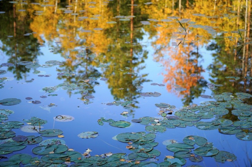 Photograph by Марина Безенкина