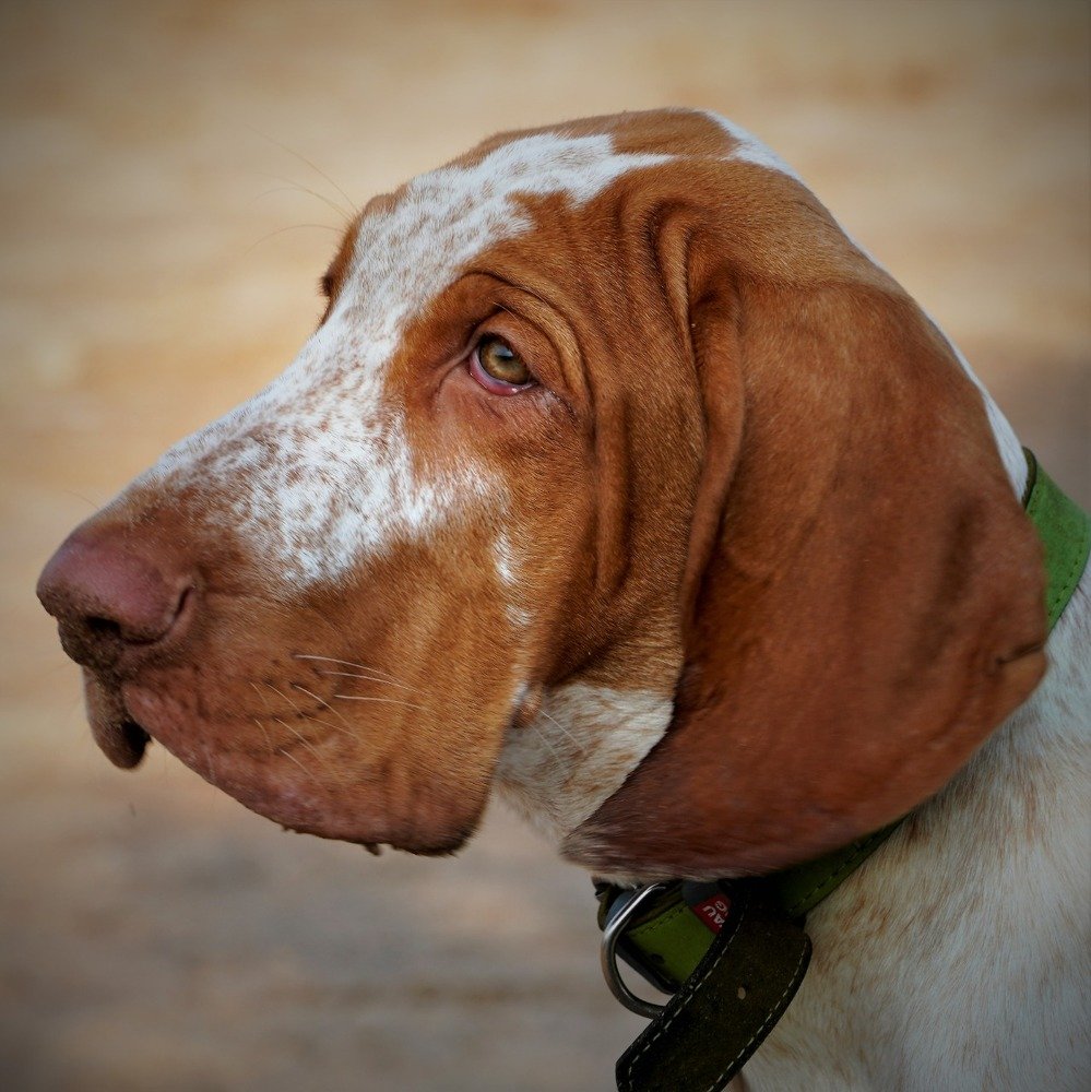 Photograph by Марина Безенкина