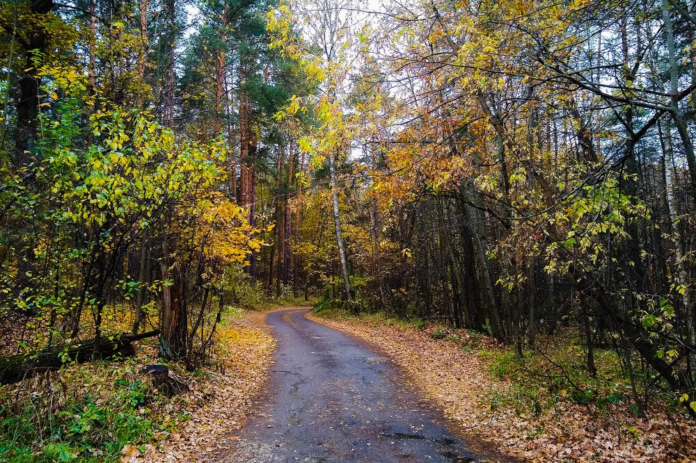 Photograph by Алексей Алексеев