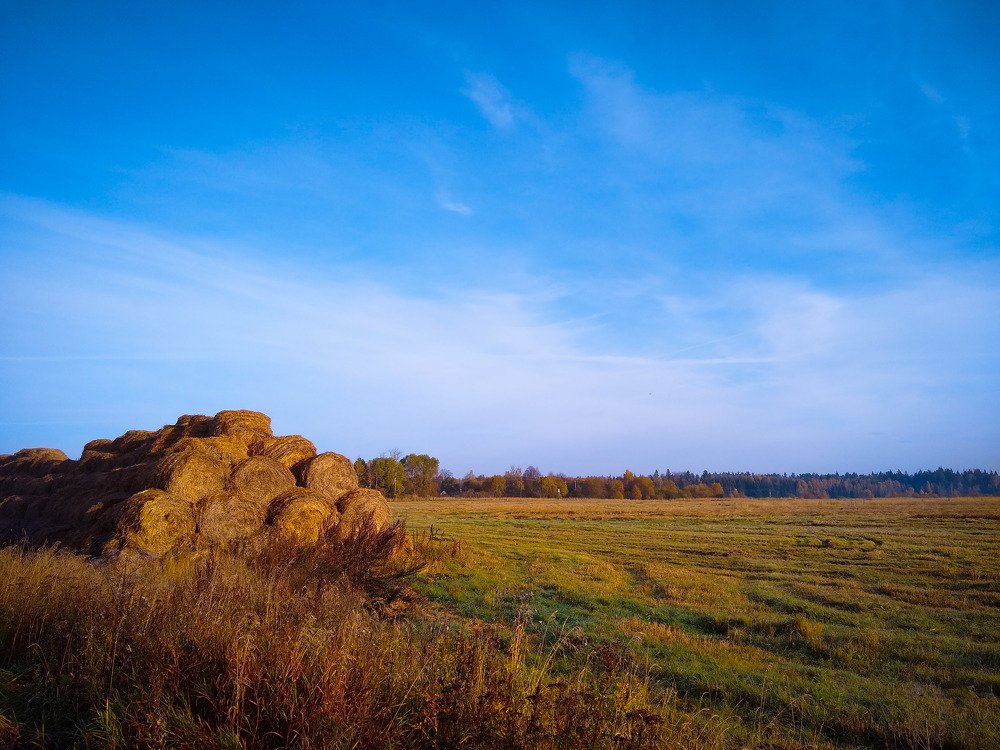 Photograph by Алексей Алексеев