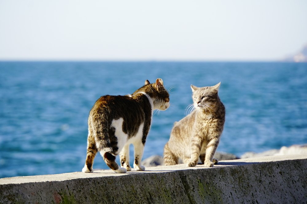 Photograph by Esma Güvenç Gündüz