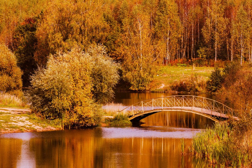 Photograph by Алексей Алексеев