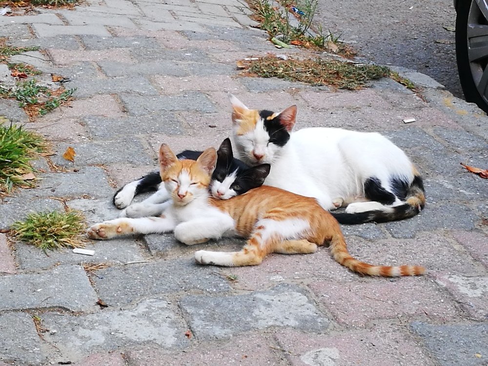 Photograph by Esma Güvenç Gündüz