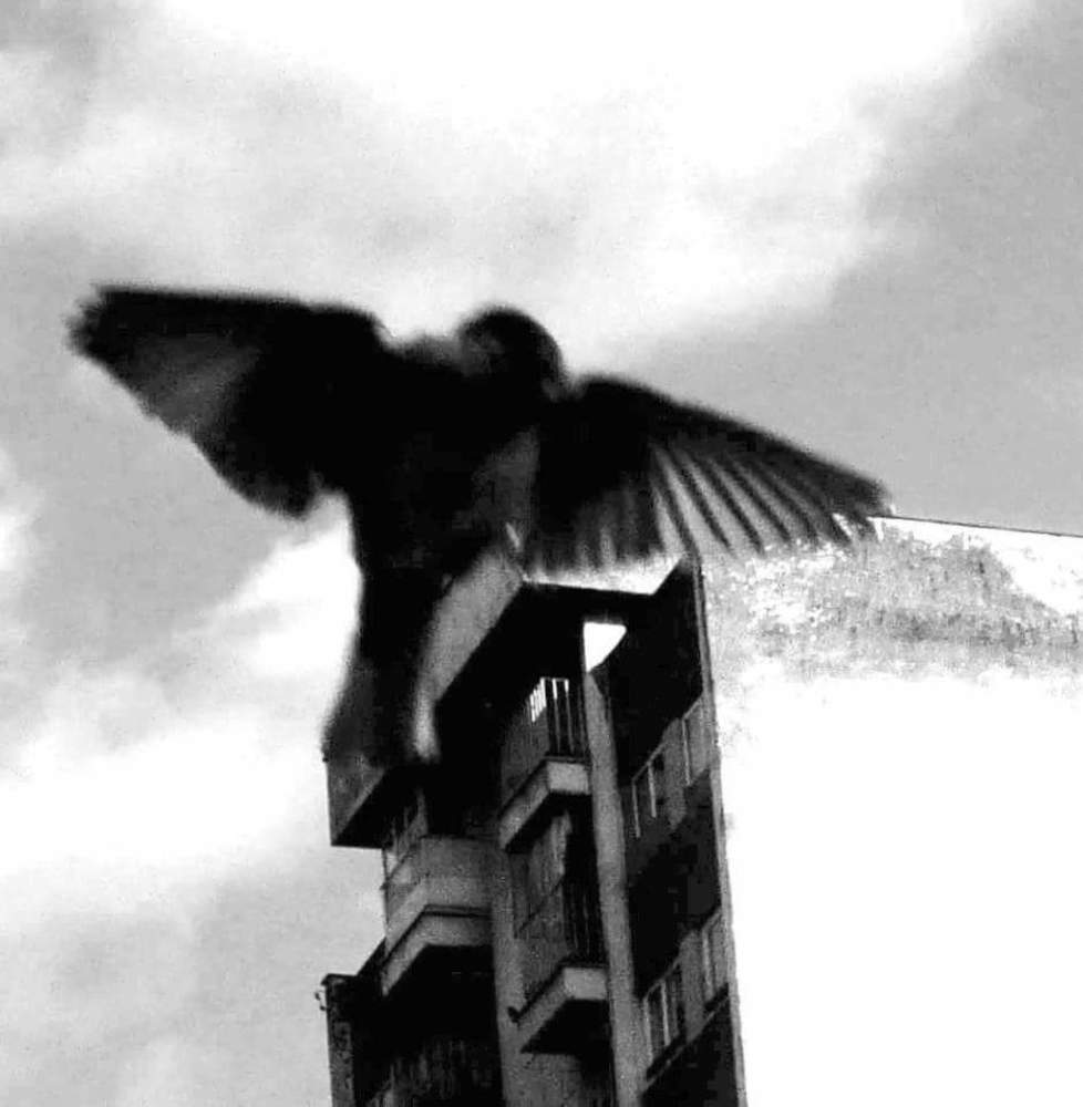 Photograph by Jelena Žarevac