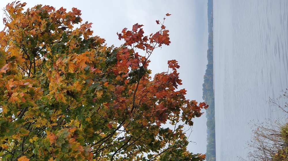 Photograph by Элеонора Ермакова